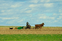 FARMS AND BARNS