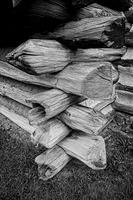 BLACK & WHITE PICTURES